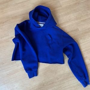 Aritzia Cropped Blue Hoodie